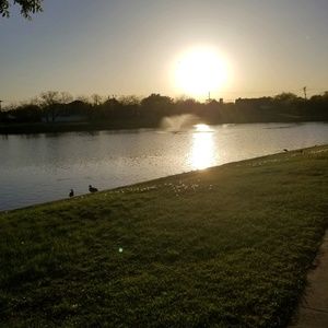 Meet your Posher, Adrian